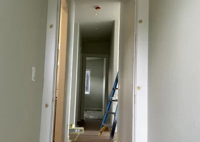 Expert Painting Contractor