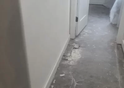 Expert Painting Contractor